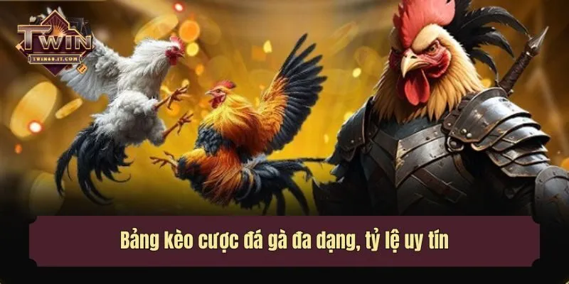 Bảng kèo cược đá gà đa dạng, tỷ lệ uy tín