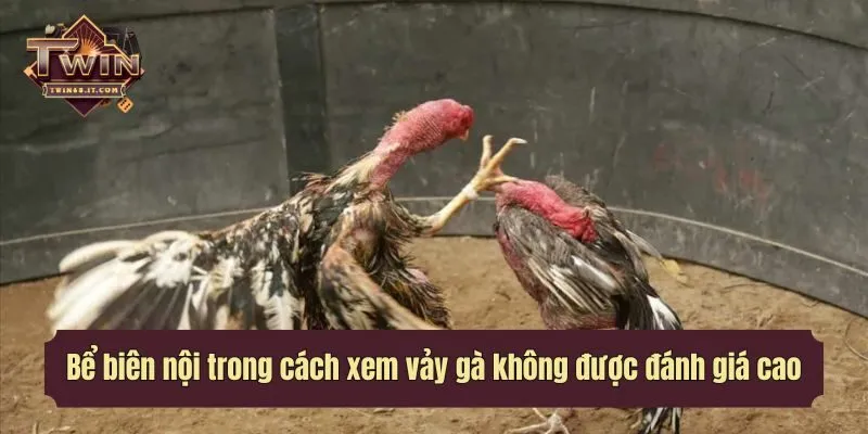 Bể biên nội trong cách xem vảy gà không được đánh giá cao