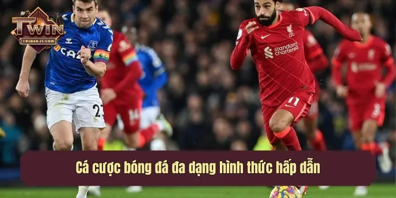 Cá cược bóng đá đa dạng hình thức hấp dẫn