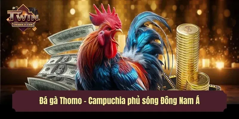 Đá gà Thomo - Campuchia phủ sóng Đông Nam Á