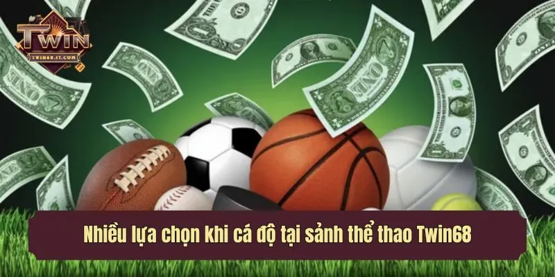 Nhiều lựa chọn khi cá độ tại sảnh thể thao Twin68